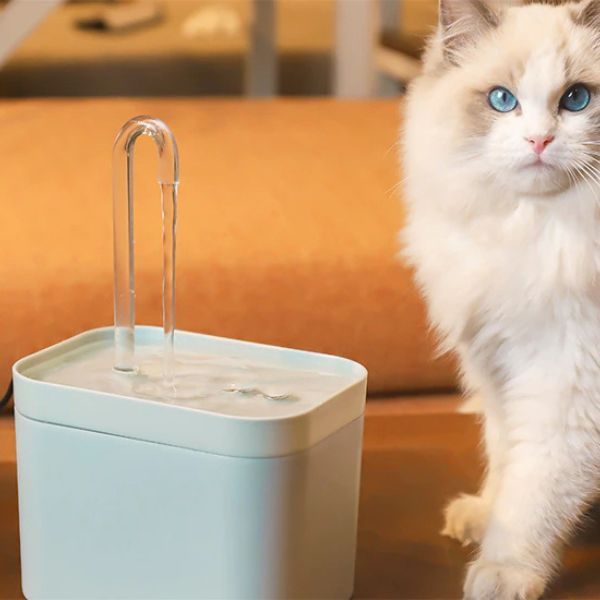 Fontaine à Eau avec Filtre USB Automatique pour Chat