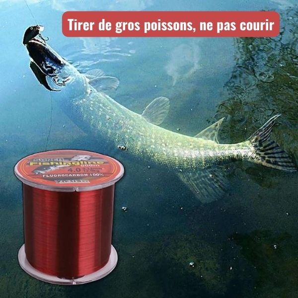 Les poissons carnassiers GrandPêcheur.com