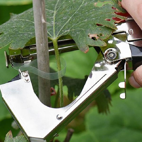 Machine À Taper Nouer Branches, pour Tomates Vignobles