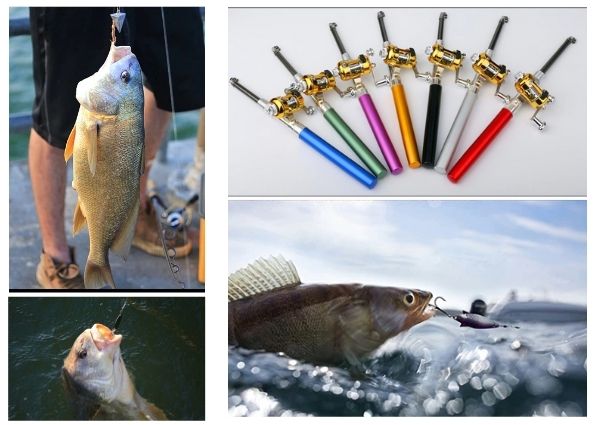 1 Ensemble De Canne À Pêche De Poche - Canne À Pêche De Style Stylo Et  Combo Moulinet, Canne À Pêche Télescopique Portable Mini, Canne À Pêche De  Voyage - Temu France