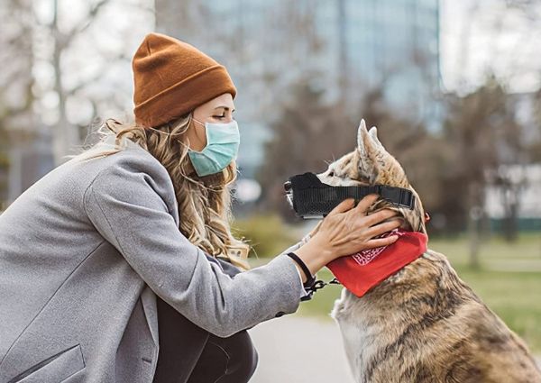 Muselière de Chien Anti-aboiement pour Petits Grands Chiens