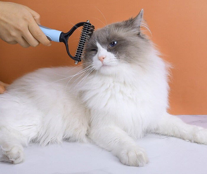 Peigne rasoir pour chat