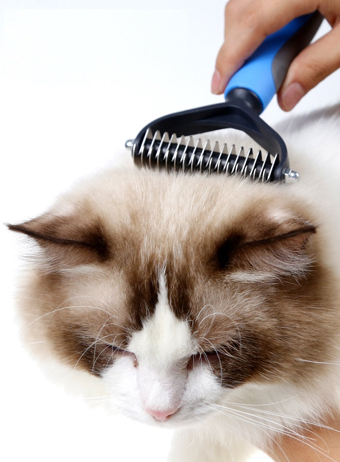 Peigne rasoir pour chat