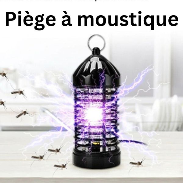 Piège à mouche professionnel – Fit Super-Humain