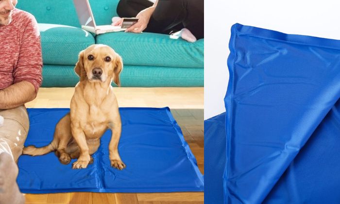 Tapis rafraichissant pour chien