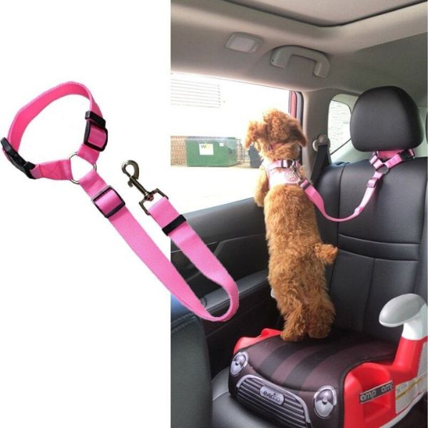 Attache de Sécurité Direct To Seatbelt Bleu pour chien en voiture