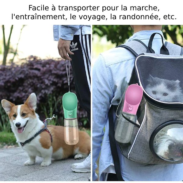 gourde pour chien