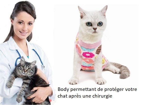 Body chat stérilisation