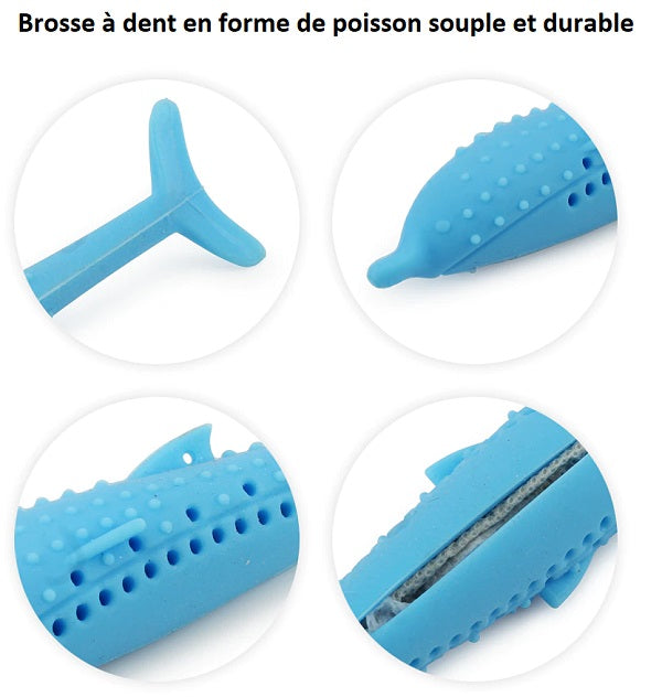 brosse a dent chat
