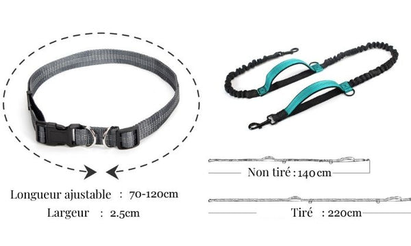 Canicross - Ceinture réglable et Laisse élastique