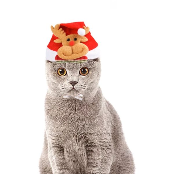 chapeau de noël pour chat