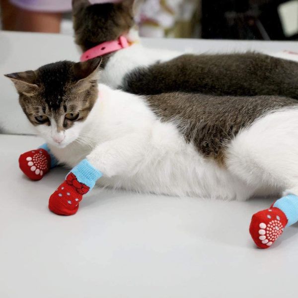 chaussettes pour chat qualité prix.jpg