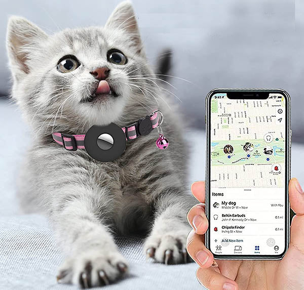 Collier GPS pour chat