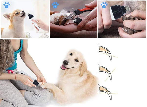 Coupe-ongles électrique pour chien - EASYGRIND™ –