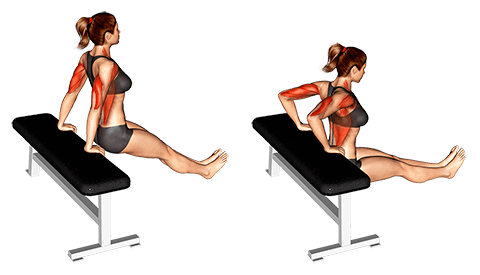Chair dips: Benefits and how they work – Fit Super-Humain