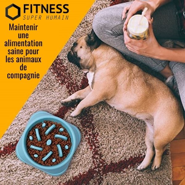 gamelle anti glouton chien action