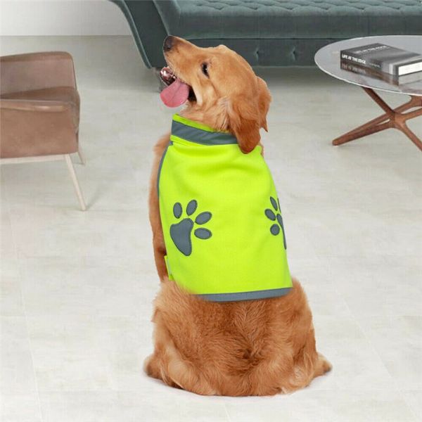 gilet réfléchissant chien france.jpg