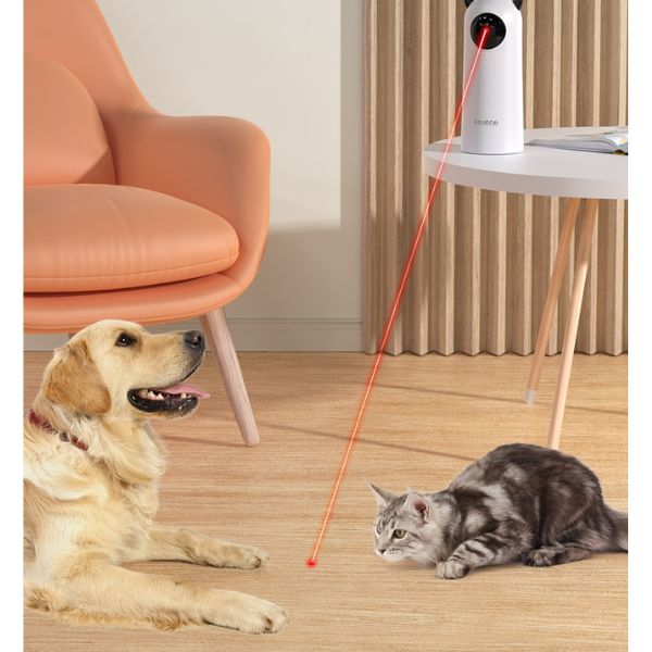 jouet à laser rouge chat automatique