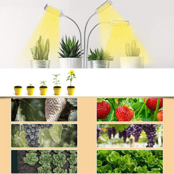 lampe croissance plante interieur