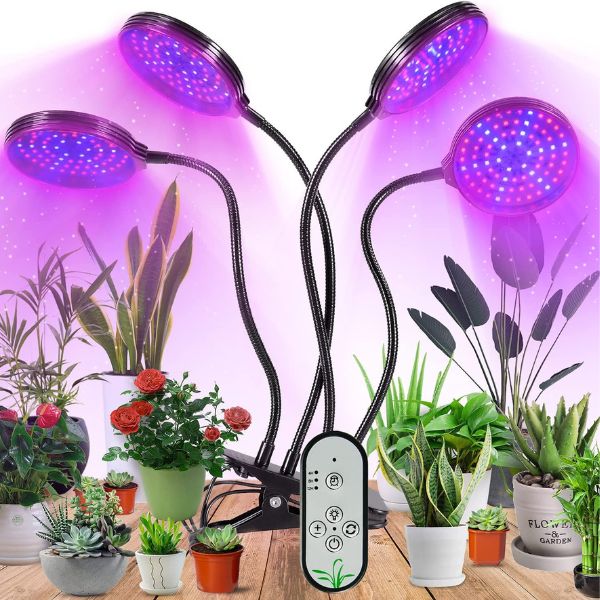 Lampe UV plante intérieur