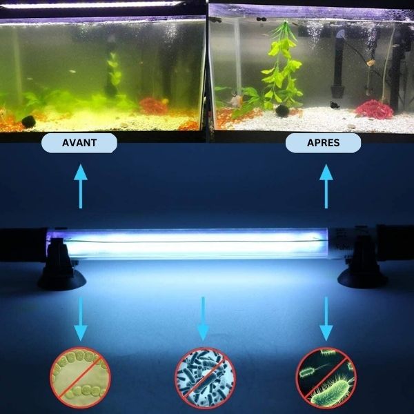 Lampe UV aquarium – Fit Super-Humain