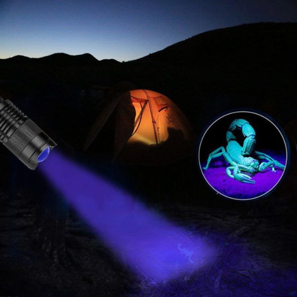 lampe torche uv rechargeable