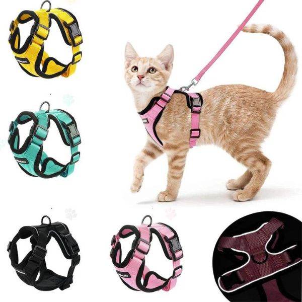 Ensemble harnais anti-fugue pour chat – Harnais pour la promenade des chats  et petits chiens de petite taille – Harnais et laisse pour chats de taille