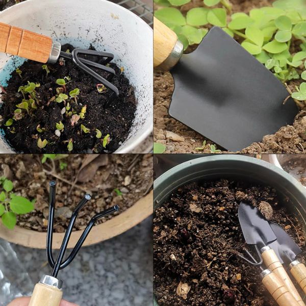 mini ensemble d'outils de jardinage
