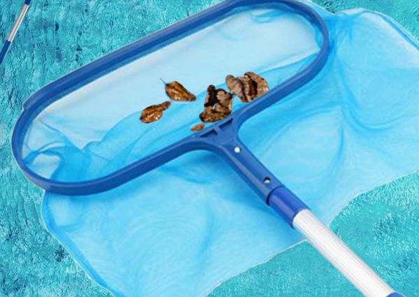 Voihamy Piscine - Filet D'écumoire Piscine - Filet Fond Nettoyage - Filet  Feuilles pour Piscine avec Perche Télescopique | Accessoires Nettoyage