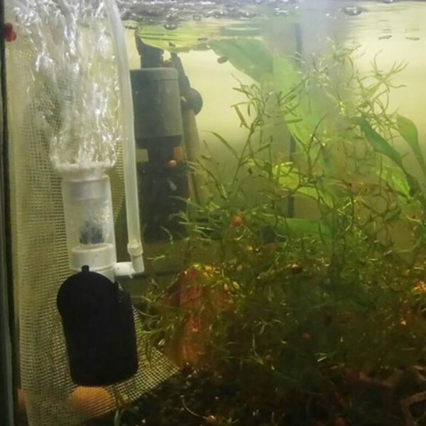 pompe d'aquarium avec petit filtre pneumatique