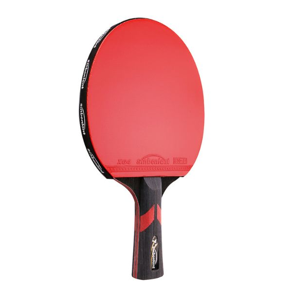 Raquettes de ping pong Pro