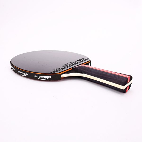 Raquette ping-pong pro – Fit Super-Humain