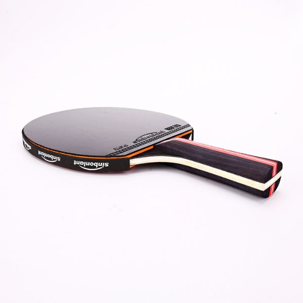 raquette ping pong professionnel