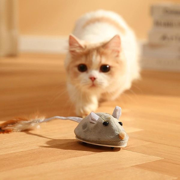 souris mécanique pour chat
