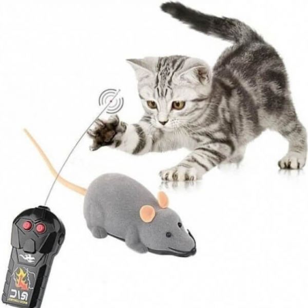 souris qui bouge pour chat