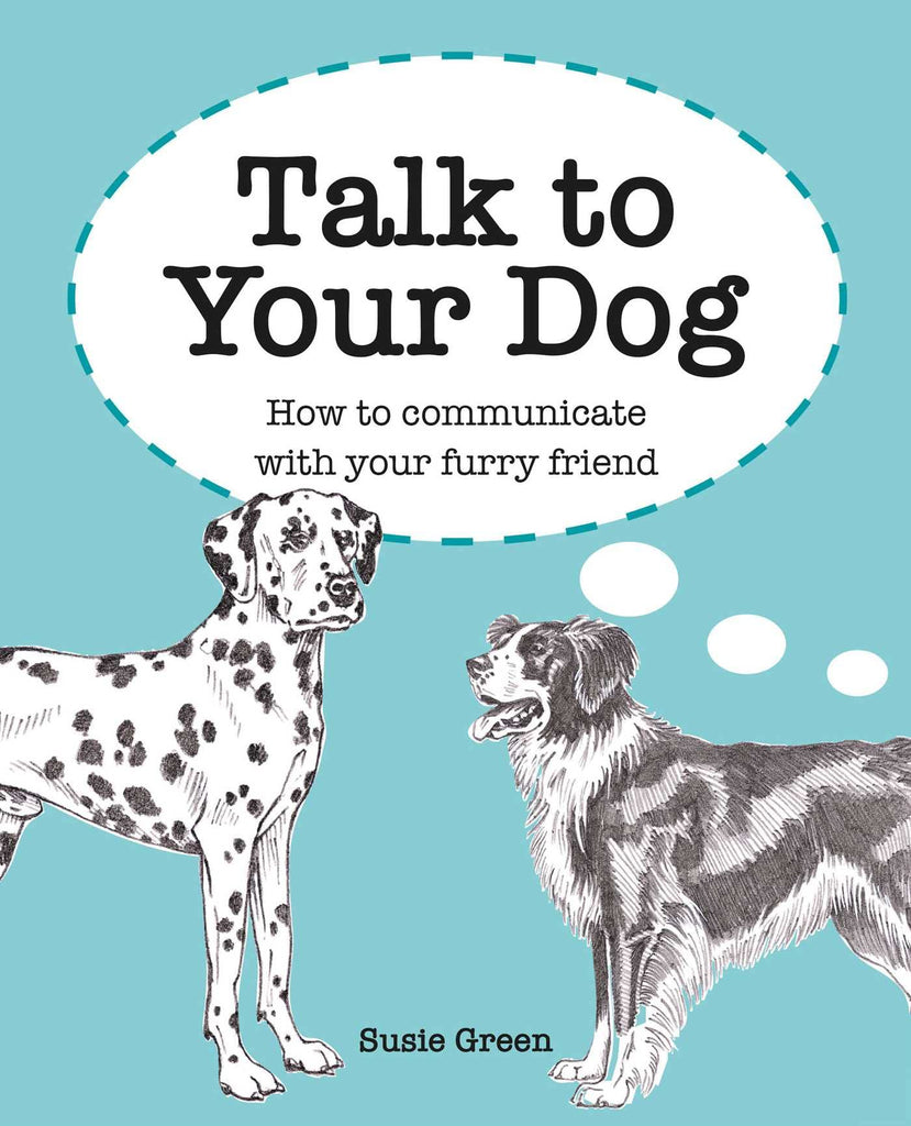 Talk to Your Cat: How to communicate with your feline friend