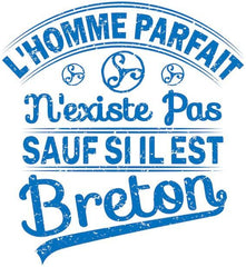 tee-shirt breton l'homme parfait