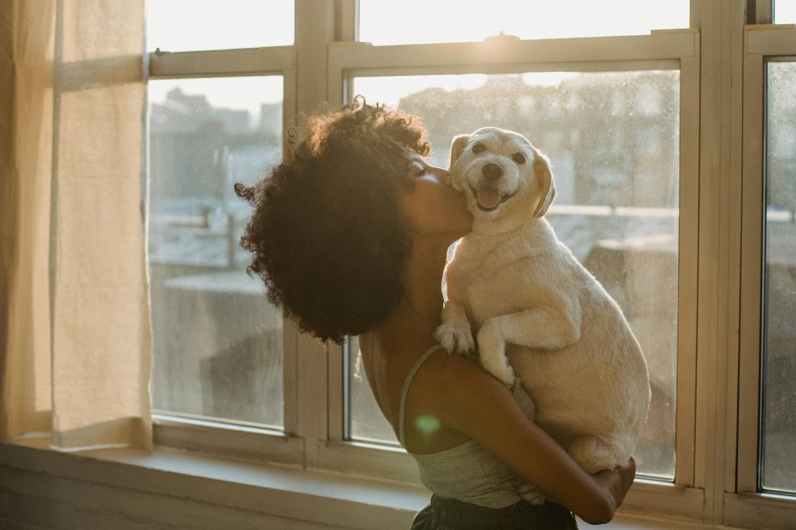 A curly-haired woman holds and kisses her pale-colored dog near a window with sunlight coming in.