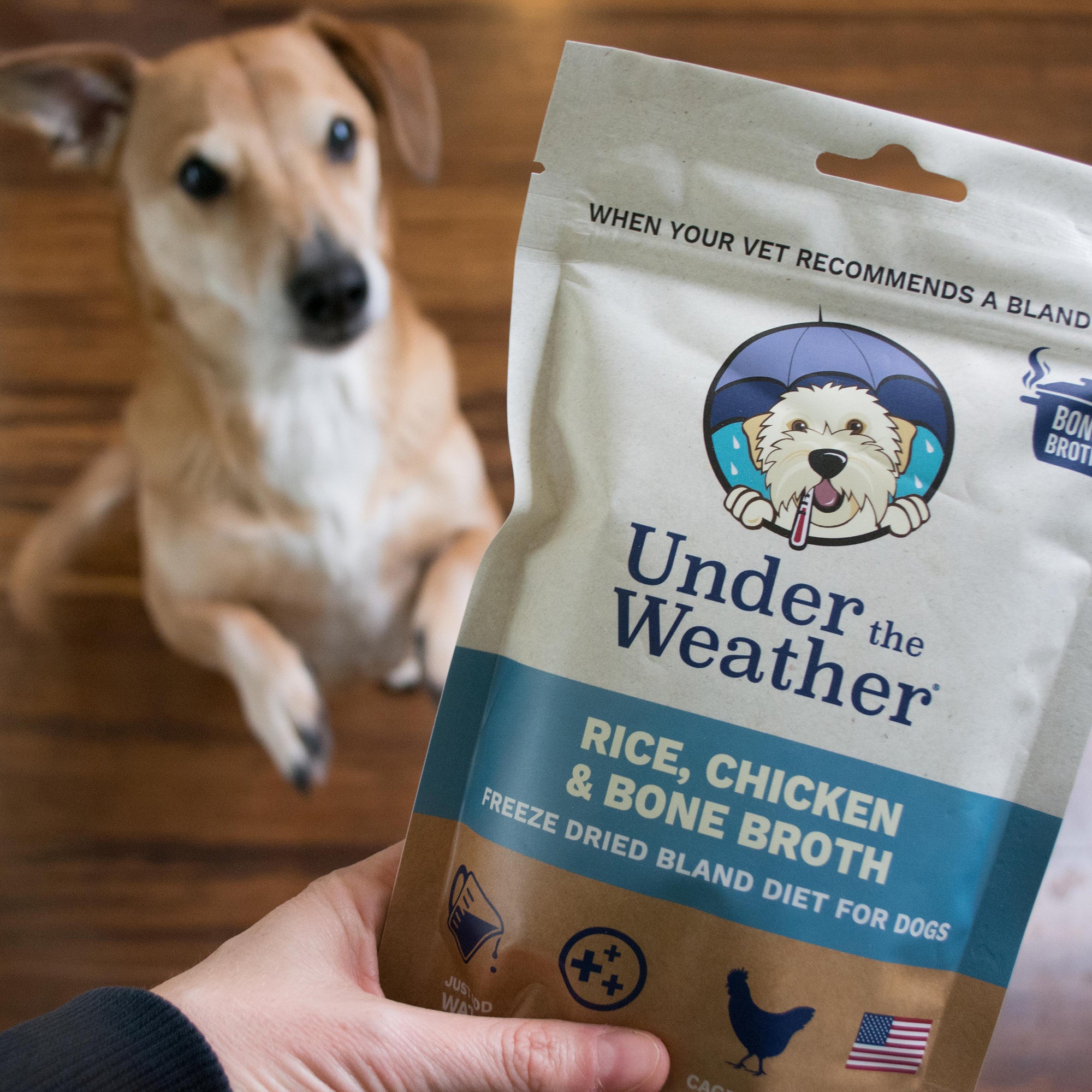 Chicken, Rice, & Bone Broth Bland Diet For Dogs - 6 pack ...