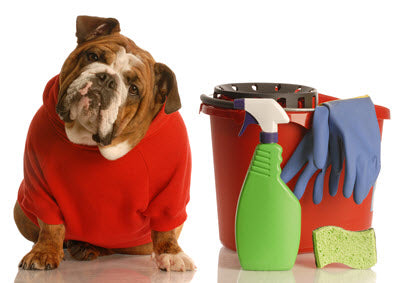 Pet-Safe Cleaning Products for the Whole House