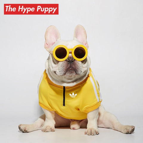 The Hype Puppy Adidog Jacket