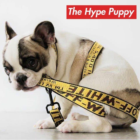 The Hype Puppy Off-White Collar