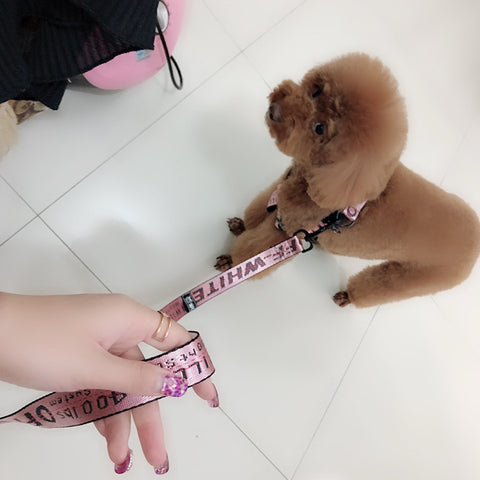 off white pink dog leash