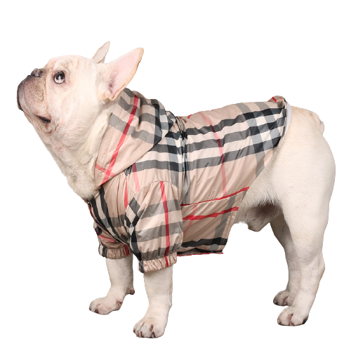 Furberry Raincoat – The Hype Puppy