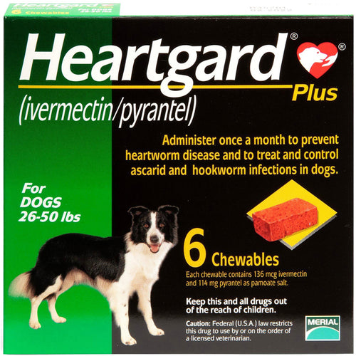 NexGard SPECTRA® Medium Dog, 7.5-15kg (Green Box, 3's) – Brighton Vet Care