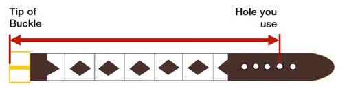 Pioneros Belt Sizing