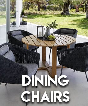 Dining Chairs