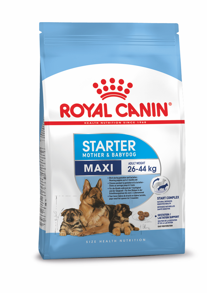 ROYAL CANIN Maxi Starter Mother \u0026 Baby 