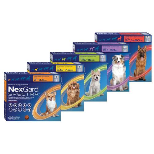 NexGard Spectra Chewable Tick & Flea Table - 1 Tablet in Pack or 3 Tab –  Bizzibabs Scratch Patch