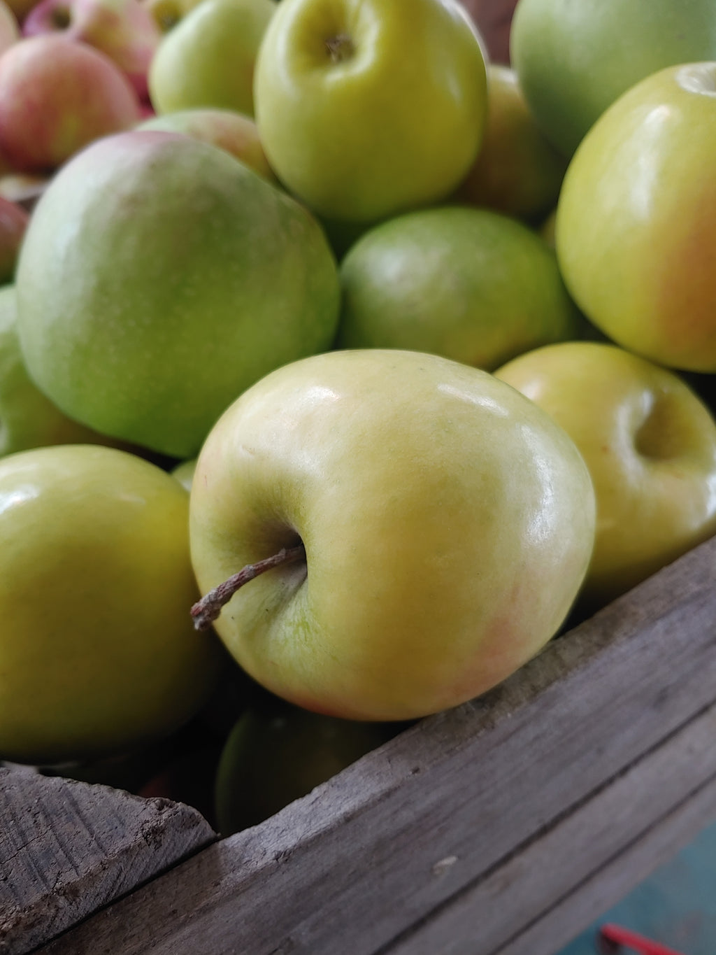 Organic Dry-Farmed Golden Delicious Apples, 1 lb, Devoto Gardens